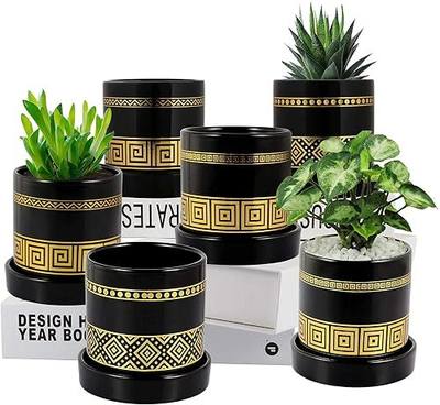 EFISPSS 3.2 inch Succulent Plant Pots – Ceramic Flower Pot with Ceramic Tray and Drainage Hole for Plants Succulent Cactus (Plant NOT Included) - 6 Pack (Gold)…