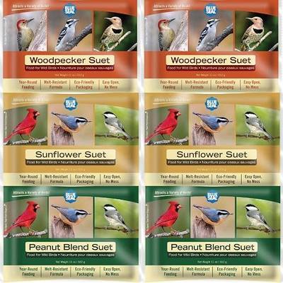 Blue Seal Nut Feast Suet Cakes for Wild Birds | No Mess Suet Feed with Variety of Nuts | Food for Woodpeckers, Cardinals, Siskins & Sparrows | Use with Suet Feeder | 11oz Seed Cake (6 Variety Pack)