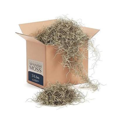 Royal Imports Spanish Moss for Plants Indoor – Dried & Preserved, 3 LB | Shredded Loose Chunks 30 Sq Ft Coverage | Deep-Washed for Outdoor Planters, Crafts & Floral Decor