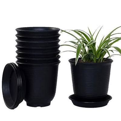 Plastic Planters Set of 8 6inch Plastic Pots with Drainage Tray-for Gardening, Succulents, Flowers, Herbs, Seeding Nursery, Orchids, Cactus, African Violets Dark Gray
