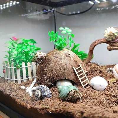 SINKOO Hermit Crab Shells Natural Coconut Shell Hut Artificial Plants 19 PCS Decoration Supplies House Tank | Coconut Shell Hut Artificial Plants Decoration Supplies House Tank