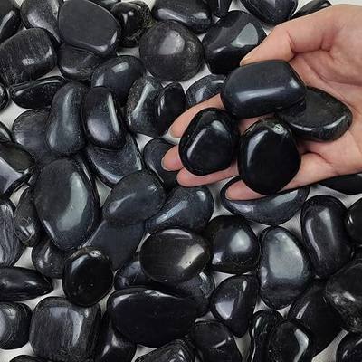 FANTIAN 5 lbs Polished Black River Rocks, 1-2 Inch Decorative Pebbles for Indoor Plants. Black Stones for Planters, Vase, Garden Landscape and Outdoor Decorative Stones