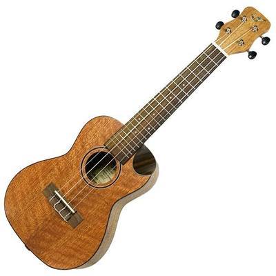 Journey Instruments Meranti Travel Concert-Size Ukulele UC770CE