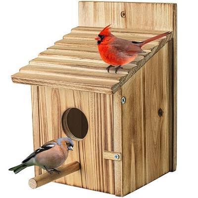 NATUREYLWL Wooden Bird House for Outside, Hanging Natural Wood Birdhouse with Perch, 1.57" Entrance & Side Clean-Out Door for Bluebirds, Wrens and Finches, Garden Decor