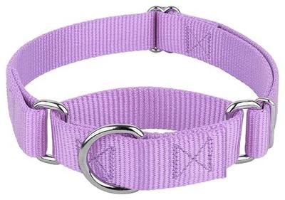 Country Brook Petz - Martingale Dog Collar - Heavy-Duty Training Collar with No Buckle - Service Dog Collar for All Pups - 20 Vibrant Colors (Lavender, 1 Inch, Medium)