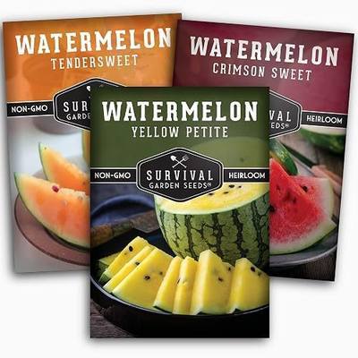 Tri-Color Watermelon Seeds for Planting - Heirloom Variety Pack | Crimson Sweet, Yellow Petite, & Tendersweet Orange Watermelons - 3-Variety Fruit Seed Collection - Survival Garden Seeds
