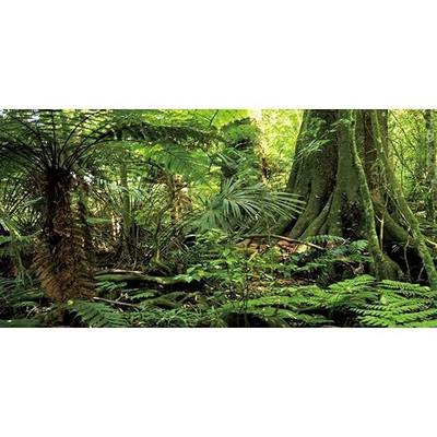 60x24 in Terrarium Backdrop Green Forest Tree Reptile Habitat Background | AWERT Stone Huge Tree Tropical Rainforest Aquarium Background Durable Polyester