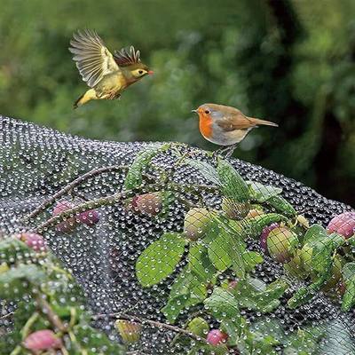 VIVOSUN Garden Netting, 13' x 32.8' Reusable Protection Net Mesh, Black Heavy Duty Trellis Netting, Garden Block Netting for Plants, Fruit Trees, Vegetables and Other Animals
