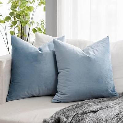Light Blue Soft Velvet Throw Pillow Covers 24x24 inch Set of 2 for Sofa Couch Bed Living Room Decorative Luxury Solid Rectangle Cushion Covers Case with Zipper