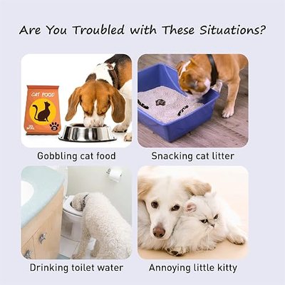 Adjustable Door Strap and Latch, Damage-Free Cat Door Latch to Keep Large Dog Out of Litter Box, Economical Alternative of Pet Gates, Basic 1 Pack