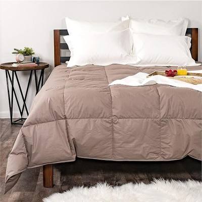 Light Warmth Premier Down Alternative Comforter with Sewn in Duvet Corner Loop Attachments, Twin/Long Twin Size Bed, Truffle