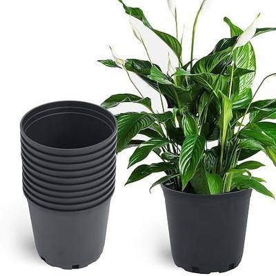 Planter Nursery Pots 2 Gallon Pots for Plants, Injection Molded Plastic Nursery Pots, Plant Container 2 Gal 10-Pack