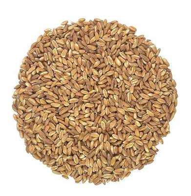 Organic Italian Pearled Farro - Imported, Raw, Non-GMO, Vegan, Bulk, Protein, Fiber Rich (10LB)