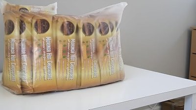 CocoRinga Moringa Hot Chocolate 50 PACK BULK BAG Vegan, Dairy Free, Keto