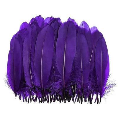 Piokio 100 pcs Natural Purple Goose Feathers in Bulk 6-8 inch(15-20 cm) for Cupcake Decorations, DIY Art and Dreamcatcher