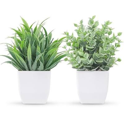 Der Rose 2 Pack Fake Plants Small Plants for Bathroom Office Decor | Mini cute faux plants, table desk home laundry room entryway decor, bathroom classroom decor, maintenance-free