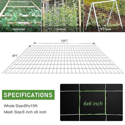 Trellis Netting, CANAGROW Heavy-Duty Garden Plant Trellis Netting for Climbing Plants, Outdoor Indoor Grow Net for Beans Tomatoes Peas Pumpkin Flowers, 6x15ft, 1 Pack