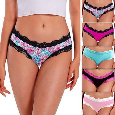Womens Underwear Hipster Panties 5 Pack Smooth Stretch Microfiber Briefs