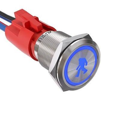 APIELE Sasqutach Lights Push Button Switch ON Off Stainless Steel 10A 12V 24VDC Pre-Wired 19MM 0.74" Install Sizefor Car Boat Truck (SASQUTACH Lights)