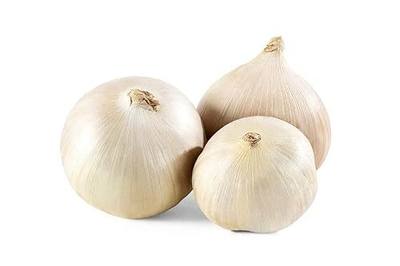 Elephant Garlic Rounds (Ajo Macho) Great for Fall Planting! (1 LB)
