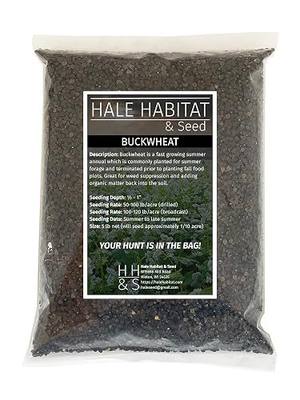 Hale Habitat & Seed Buckwheat Food Plot Seed, 5 lbs