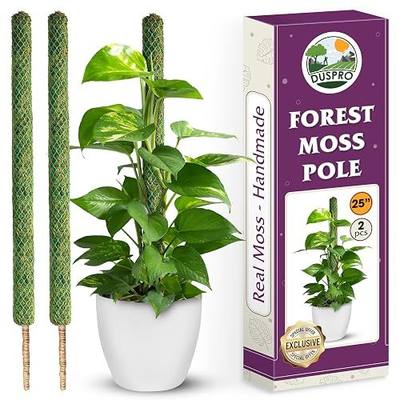 DUSPRO 2 Pack 25’’ Mesh Moss Pole for Climbing Plants, Natural Moss Pole Monstera Plant Support, Real Moss Poles for Plants Indoor, Moss Stick for House Plants, Moss Stakes for Climbing Plants