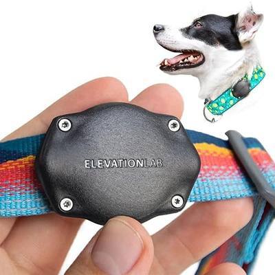Elevation Lab AirTag Dog Collar Holder - Waterproof | Secure, Durable, Fits Any Collar Width, Doesn't Dangle, Comfortable