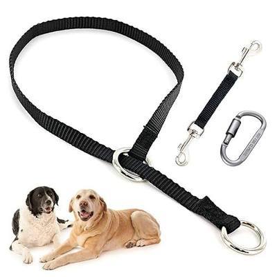 Mayerzon Backup Collar, Double Ended Clip and Carabiner for Prong Collar, Pinch Collar and Dog Harness, Safety Use for Walking and Training (M, Black)