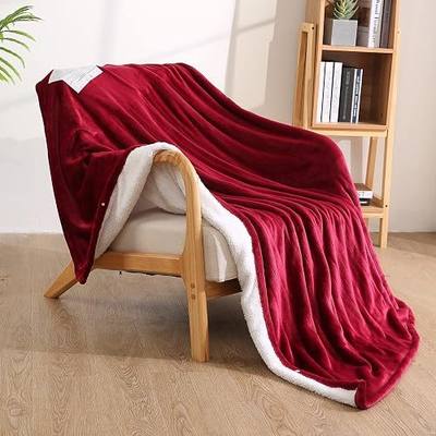 Electric Heated Throw Blanket 50" x 60", Soft Flannel Throw Blanket with 4 Heating Levels & 4 Hours Auto Off, Machine Washable for Home Office Use