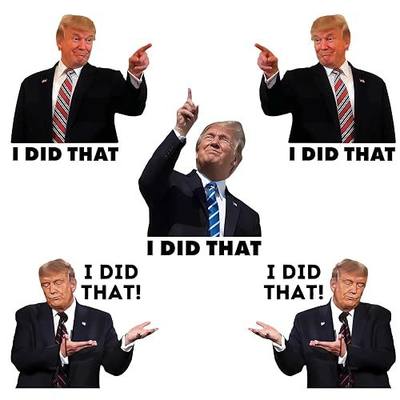 I Did that Trump Stickers, 100 Pcs Trump I Did that Stickers, Funny I Did that Stickers, Mixed 5 Different Patterns, 3" Large Size (100 Pcs)