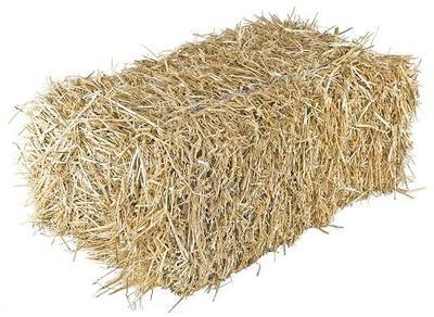 Garden Elements Straw Bale by Shady Creek Farm, Multi-Use for Farm & Home, Medium Straw Bale, 22"