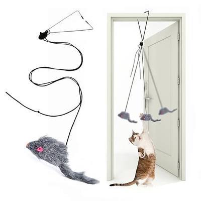 Kalimdor Interactive Cat Feather Toys,Retractable Teaser Toy ,Hanging Interactive Toys for Indoor Cats Kitten Play Chase Exercise, Kitten Mental Exercise Toys (1 Pack)