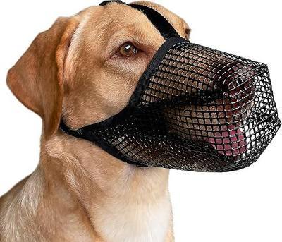 Mayerzon Patented Mesh Dog Muzzle for Small Medium Large Dogs Anti Eating | Soft & Highly Breathable, Full-Covered with Adjustable Head-Straps, Prevent Scavenging Chewing, Walking Grooming Use | M