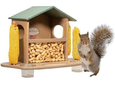 JCs Wildlife Ultimate Large Squirrel Snack Station - Feed Dried Corn, Peanuts and More to Backyard Squirrels - Made in The USA…