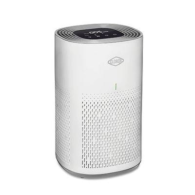Clorox Medium Room Air Purifiers for Bedroom Home, True HEPA Filter