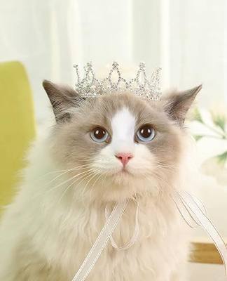 Lovelyshop Pearl Rhinestone Pet Crown for Dogs & Cats, Silver, S | Full Round Dog/Cat Crown, Rolyal Family Costume, Pet hair Accessories