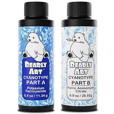 Bearly Art Cyanotype Kit - Sun - Solar Print Set for Photographic Printing on Paper and Fabric - 2 Part Sensitizer - Archival - Creates 32 8"x10 Prints on Cyanotype Paper and 25 on Fabric
