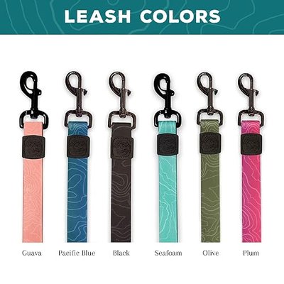 Wilderdog Waterproof Dog Leash - Repels Water & Dirt - Seafoam