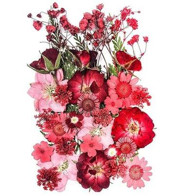 15 Types 37pcs Red Dried Pressed Flowers for Resin Molds,YouthBro Real Natural Pressed Flowers for DIY Art Crafts,Candle Making, Nails Décor,Soap Making, Phone Case
