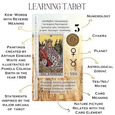 Witchy Cauldron Tarot Cards for Beginners with Meanings on Each Card — 78 Card Learning Tarot Deck with Guidebook, Reversed Meanings, Chakra, Zodiac & Planetary Symbols | Rider-Waite Style (English)