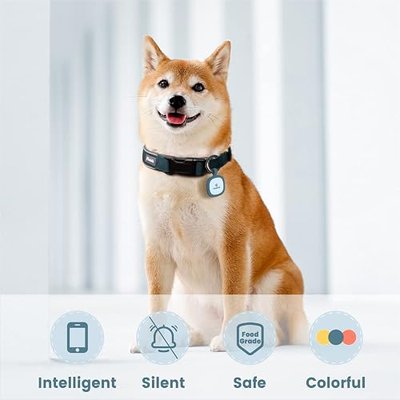 Pawaii Dog ID Tag, Silent Silicone QR Code Tag, Scan Alerts, No App, 1 Pack | Updatable online profile, emergency contacts, no subscription, lost pet recovery, collar friendly, lightweight wear