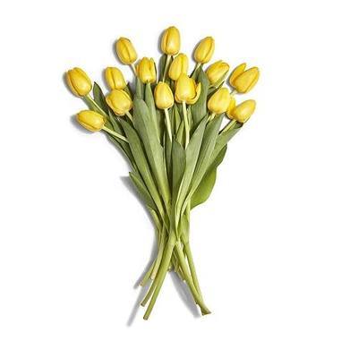 Floral Yellow Tulips 15 Stem