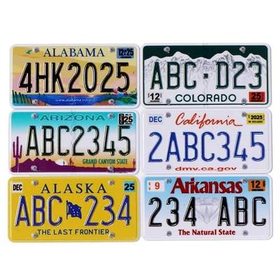 Custom US 50 States RC Car License Plate Compatible with Scale Model Car 1/8 1/10 1/12 1/14 1/16 1/18 1/24 2Pieces