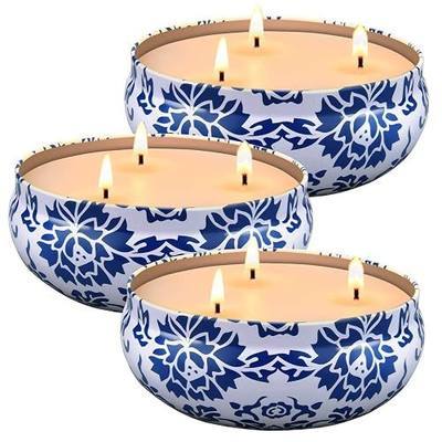 Hausware Citronella Candles Outdoor & Indoor - Large 13.5 oz Scented Candles Set 3 Pack Natural Soy Wax citronella Candles for Garden Patio Yard Home Balcony Camping Backyard (Light Blue)