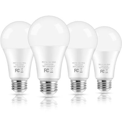 LED Light Bulbs, 100 Watt Equivalent A19, 13W 5000K Daylight White 1500 Lumens Non-Dimmable Bright E26 Edison Medium Screw Bulbs for Home Bedroom Kitchen Living Room Office Lamp, 4-Pack