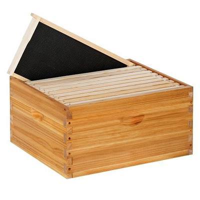 10 Frame Langstroth Deep Brood Beehive Box, Durable Cedar Dipped in Beeswax, Complete Frames & Wax Foundations, Deep Brood Hive Kit for Beginner Beekeepers(Unassembled)