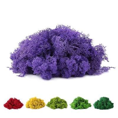 Fake Moss Preserved Reindeer Moss 3.5 OZ for Potted Plants, Arts and Crafts, Terrariums, Wall Decor, Centerpieces, Fairy Gardens, Wedding, Floral Project (Purple)