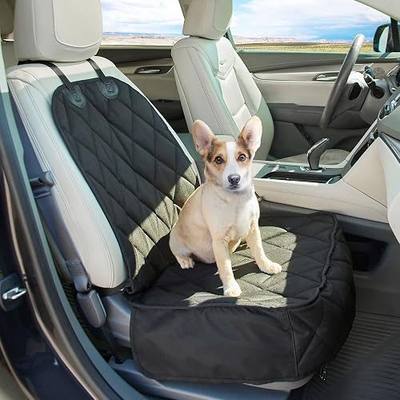 Chew Proof Dog Mat
