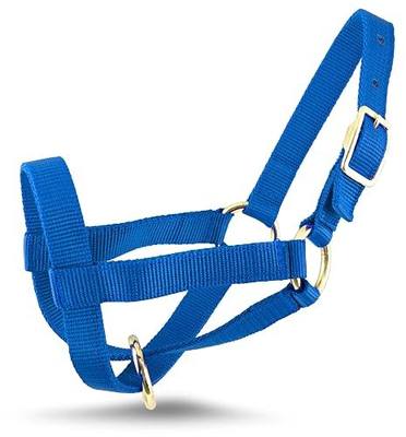Jeffers Livestock Goat Halter, Small 30"-34"- Adjustable 2-Ply Poly Webbing Halter with Brass Plated Hardware for Leading, Training, Grooming, Showing, Farm Handling, Travel & Transport - Royal Blue