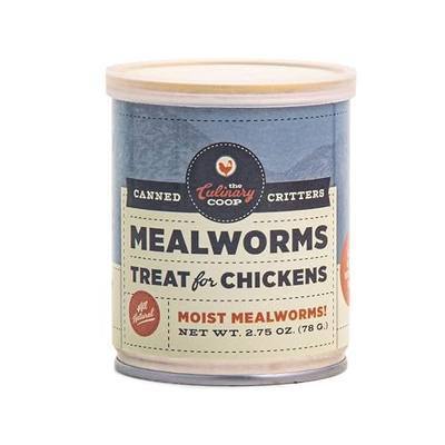 Fluker's Culinary Coop Canned Mealworms Chicken Treat, All Natural and Packed with Protein, 2.75 oz